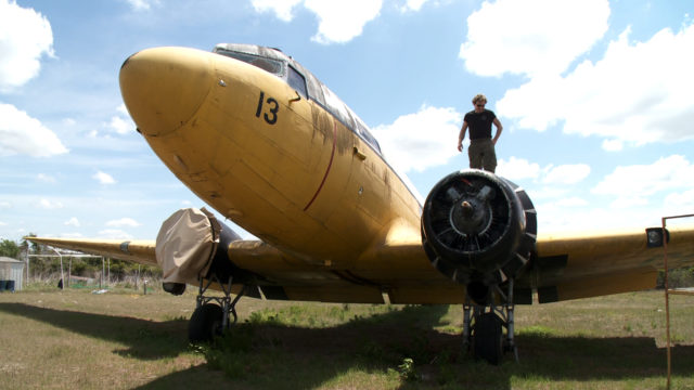 1472838484-1695-osquite-control-DC-3-Florida