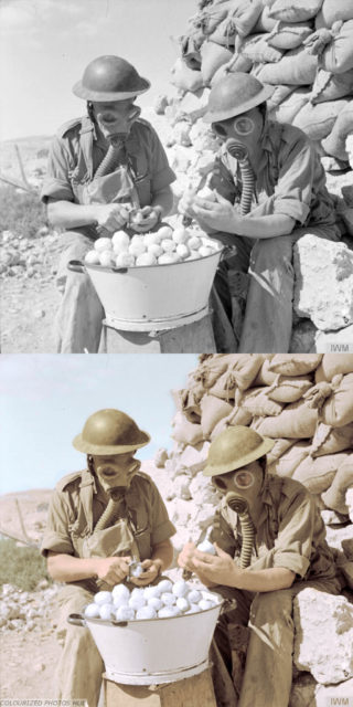 The Campaign in North Africa 1941 Soldiers wearing gas masks while peeling onions at Tobruk, 15 October 1941