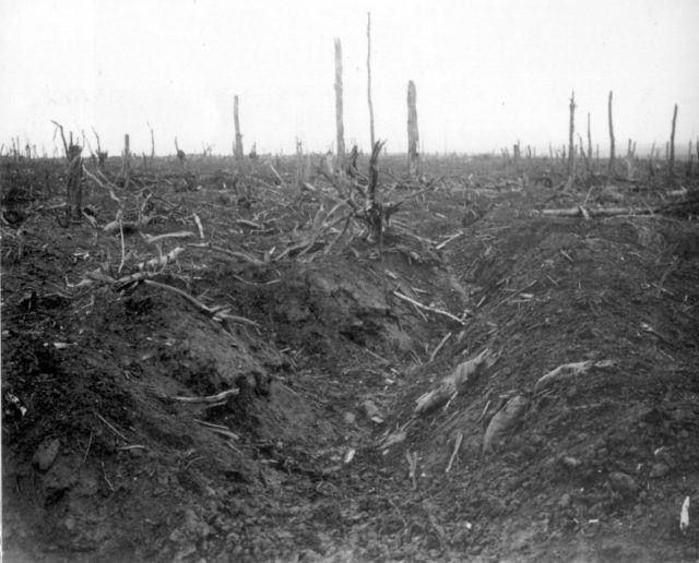 An abandoned German trench in Delville Wood near Longueval, Somme, France during the Battle of the Somme.