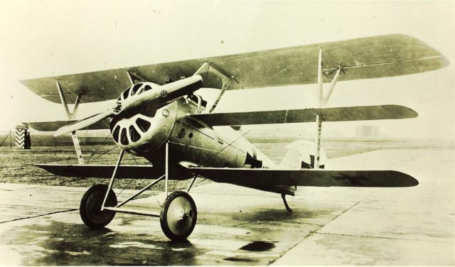 Pfalz DR1 fighter jet (Wikipedia)