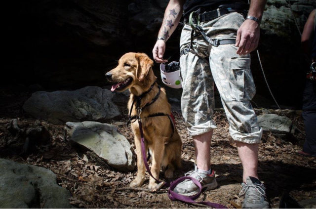 An assistance dog (Project RECOVER) trained to help veterans with PTSD