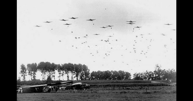 Polish paratroopers are dropped near Grave, Netherlands while livestock graze near gliders that landed earlier. 