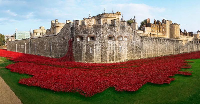 Tower of London Commemoration of WWI in 2014. <a href=https://commons.wikimedia.org/w/index.php?curid=35398351>Photo Credit</a>