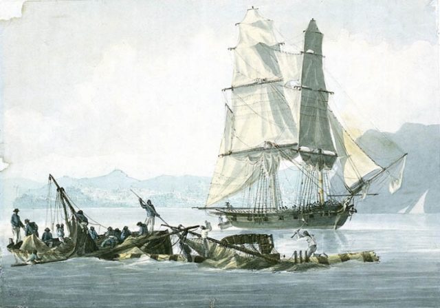 HMS Speedy assisting at the wreck of HMS Queen Charlotte, in March 1800. Image Source: Wikimedia Commons/ public domain