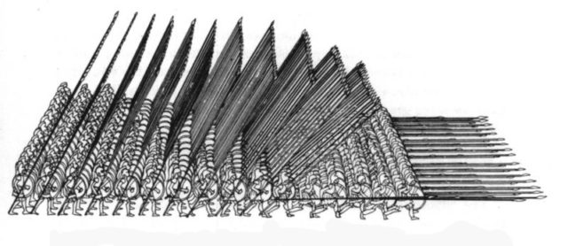 The Macedonian Phalanx in a perfect position. it would never have looked like this in battle, and Alexander showed that in an interesting and engaging way.