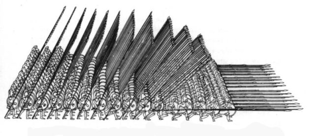 The Macedonian Phalanx in a perfect position. it would never have looked like this in battle, and Alexander showed that in an interesting and engaging way.