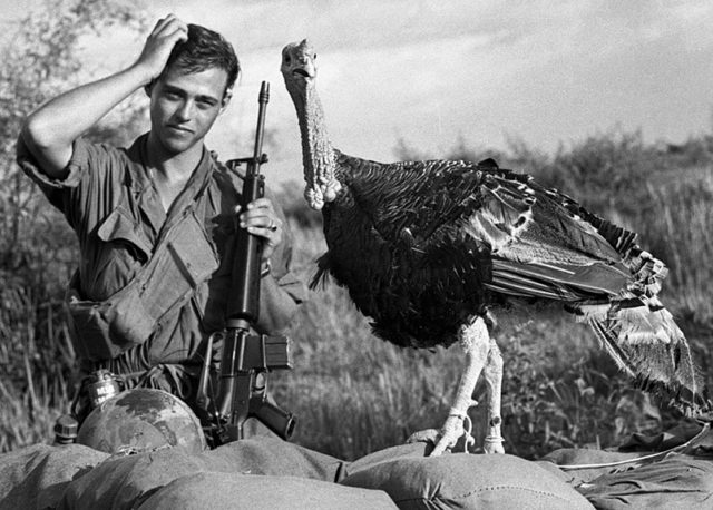Staff Sgt. Raymond Scherz of Addison, Ill., seems to be pondering the best way to convert this feathered visitor to C Company, 2nd Battalion, 39th Infantry, 9th Infantry Division, into Thanksgiving dinner at the nearby Bear Cat base camp. John Olson/Stars and StripesImage 11 of 16. Photo Credit.