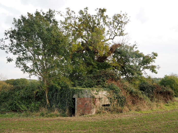 Blending in this one at Crofton Road near Great Bedwyn. Pillboxes and other defensive structures on the GHQ Line along the Kennet and Avon Canal Wiltshire. Picture Copyright © www.thetraveltrunk.net