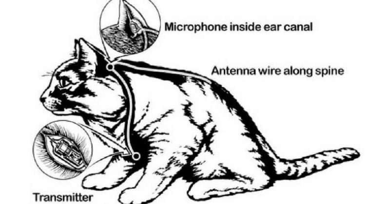 A diagram of the 'Acoustic Kitty' 
