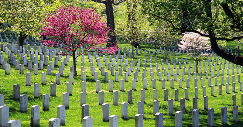 Arlington National Cemetery. <a href=https://commons.wikimedia.org/w/index.php?curid=27506493>Photo Credit</a>