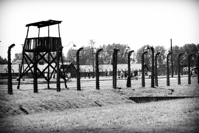 Barbed Wire and Guard Tower at Auschwitz
