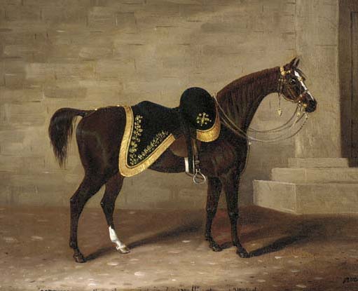 Copenhagen, the Duke of Wellington’s battle charger.