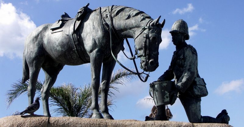 Memorial to the horses of the second Boer war. NJR ZA -CC BY-SA 3.0