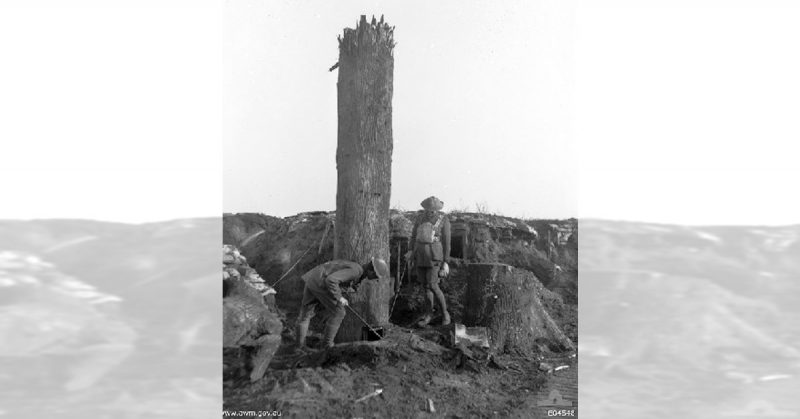 WWI Camouflage tree.Photo Credit: IWM