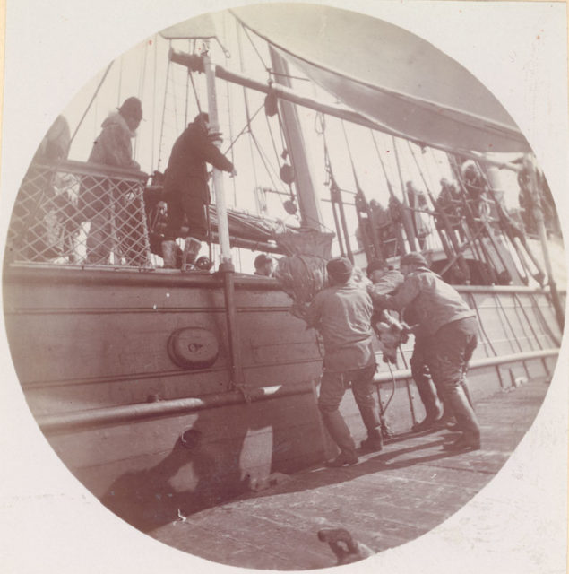 Loading Reindeer onto the deck of the Bear;
