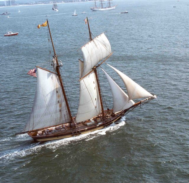 Pride of Baltimore 2, a reproduction of a 19th-century schooner. The Jeune Richard looked very similar, although she was more heavily armed;