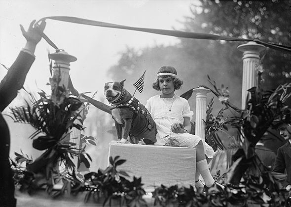 Stubby back in America at a parade in May 1921.