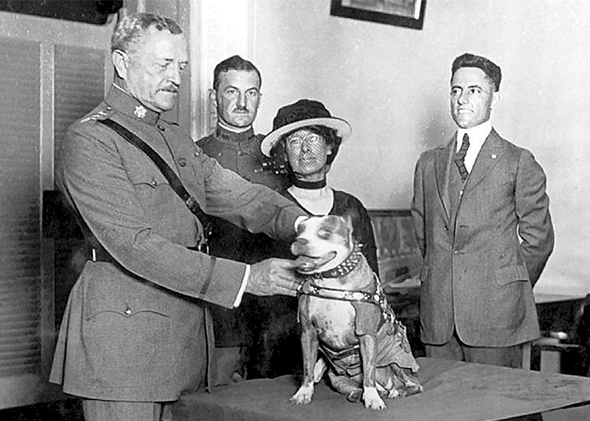 General John Pershing giving Stubby a medal in 1921.