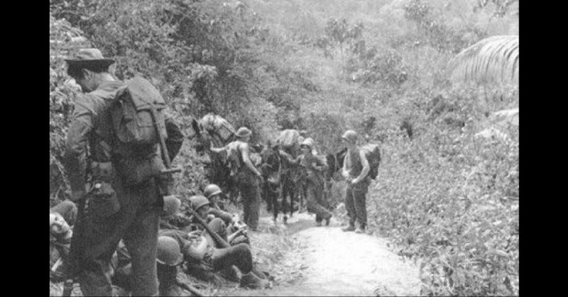 Merrill's Marauders rest during a break along a jungle trail near Nhpum Ga.
