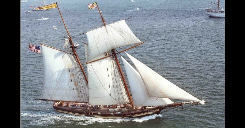 Pride of Baltimore 2, a reproduction of a 19th-century schooner. The Jeune Richard looked very similar, although she was more heavily armed.