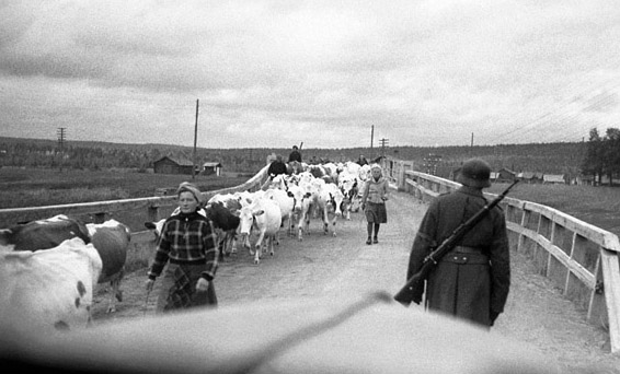 This picture was taken from a truck during the German retreat.