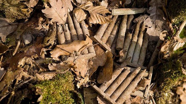 American 30.06 caliber unfired rifle clips in the Meuse Argonne “Pocket” where the so-called “Lost Battalion” fought its gallant action