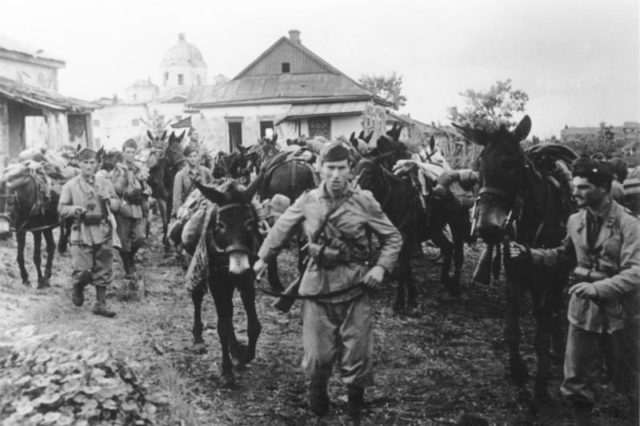 Italian Soldiers in Russia, July 1942. Bundesarchiv – CC-BY SA 3.0