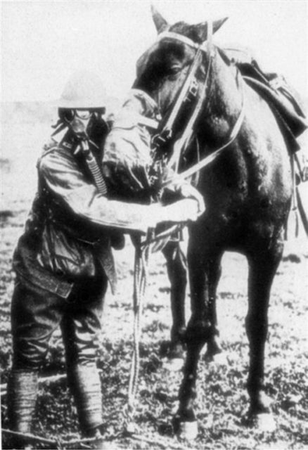 An American soldier demonstrating a gas mask for his horse.