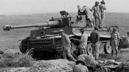 Tiger 131