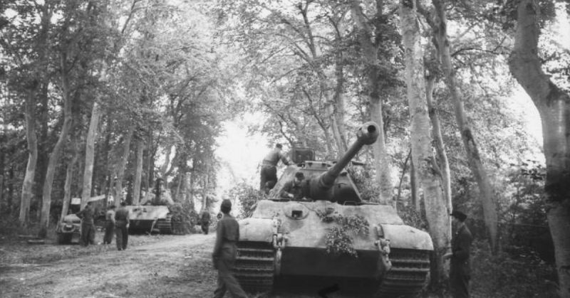 King Tigers belonging to the 503rd heavy tank battalion, hide from Allied aerial reconnaissance. Bundesarchiv - CC BY-SA 3.0