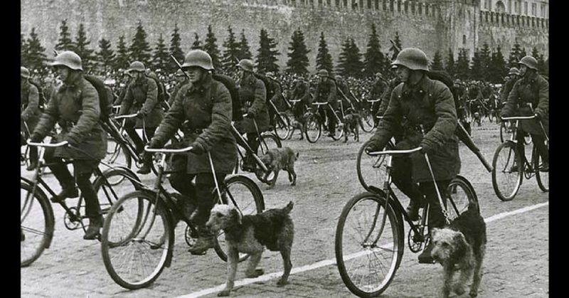 Military parade with War Dogs on Red Square, Moscow, 1 May 1938