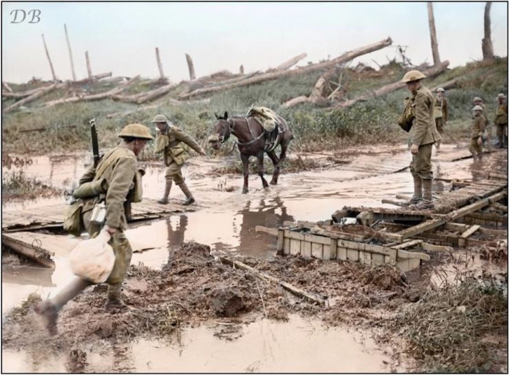 (Photo source – © IWM Q 2635)