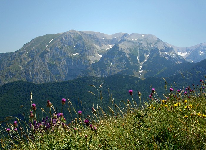 The Maiella massif, central Italy. The highest peak is Monte Amaro at 2,793 m, which the two intrepid escapees crossed.