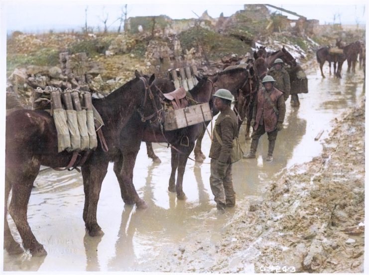 20th Battery Canadian Field Artillery, Neuville St. Vaast, April 1917. Photo colourised by Royston Leonard / mediadrumworld.com.