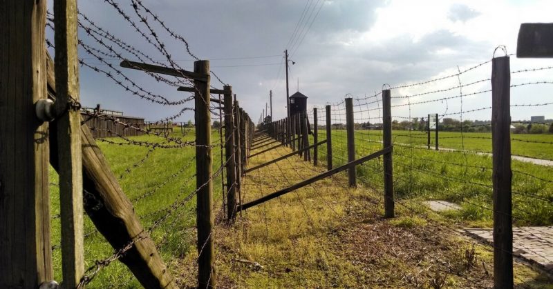 Guard towers along the barbed-wire double-fence on the Majdanek camp perimeter.  DCSasson - CC BY-SA 4.0