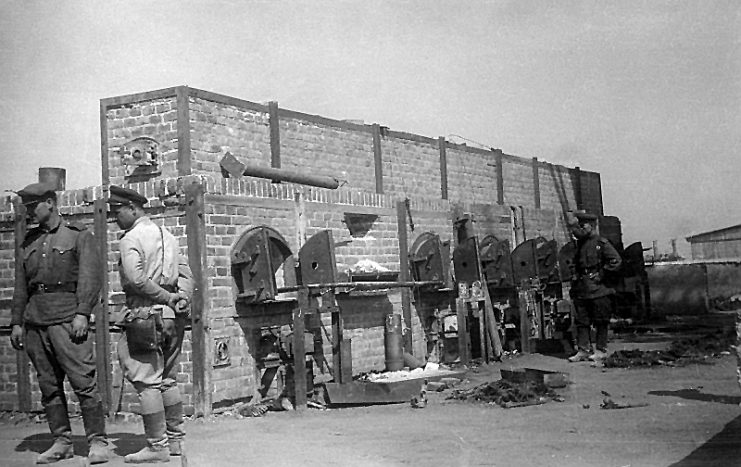 Red Army soldiers examining the ovens at Majdanek, following the camp’s liberation, summer 1944. Deutsche Fotothek‎ – CC BY-SA 3.0 de