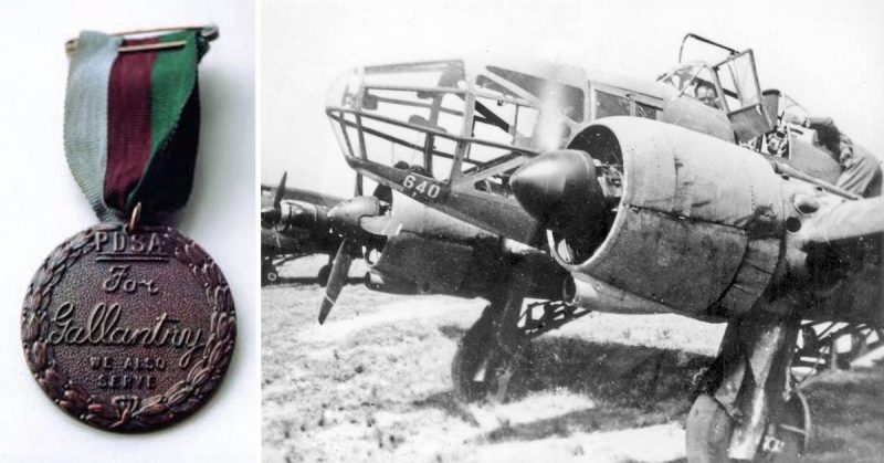 The Dicken Medal and Potez 630, the type of plane in which the dog Antis took his first flight. By Halicki  - CC BY-SA 3.0