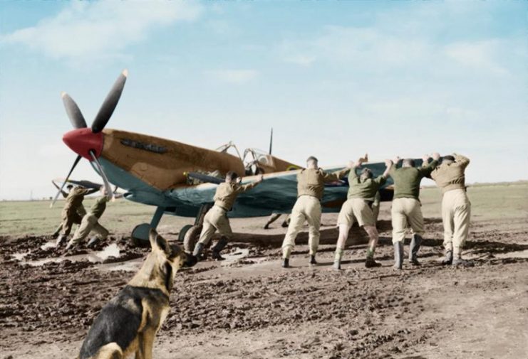 Personnel of No. 92 Squadron RAF push one of their Supermarine Spitfire Mark VIIIs from the mud on the waterlogged landing ground at Canne, Italy. Paul Reynolds / mediadrumworld.com