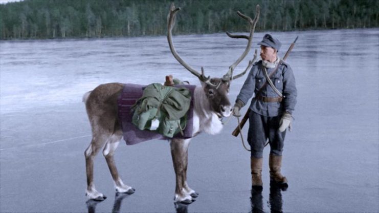 Finnish soldier with a pack Reindeer, on an ice covered lake, near the tiny village of Nautsi, in northern Lapland, Finland. Paul Reynolds / mediadrumworld.com