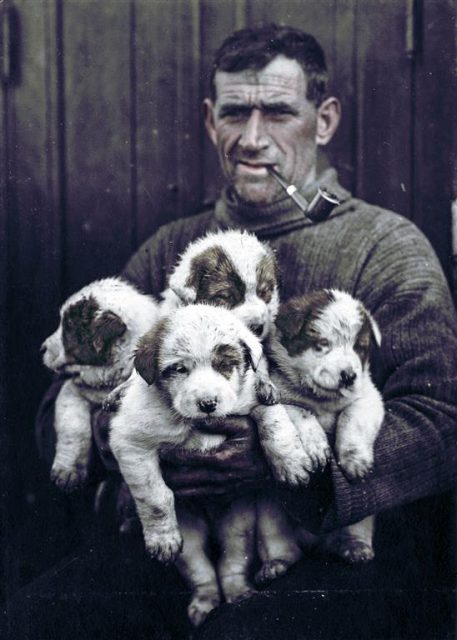 Irishman Tom Crean the antarctic explorer and seaman. My Colorful Past / mediadrumworld.com