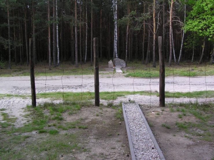 End of the real “Harry” tunnel (on the other side of the road). showing how it does not reach the cover of the trees. vorwerk CC BY-SA 3.0