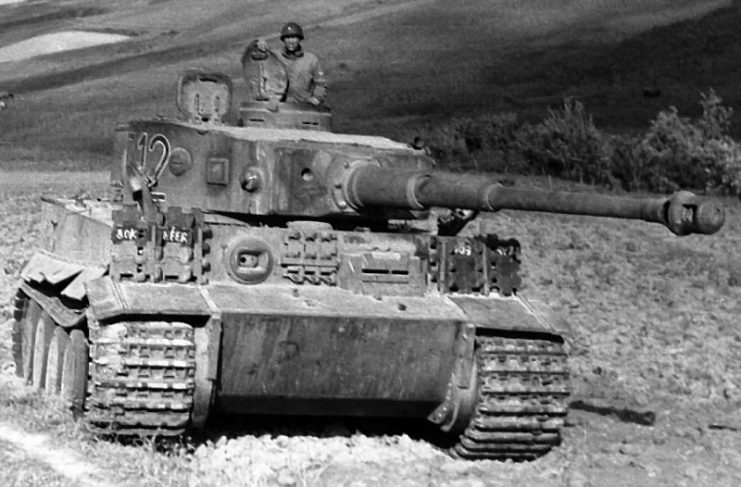 Tiger captured by Allied Forces in WWII near Tunis North Africa.