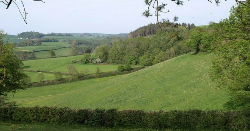 Fields near Coombe Park. Photo: Derek Harper / CC-BY-SA 2.0