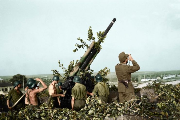 2nd Hungarian Army, 29M Bofors 80mm AA gun in firing position in Stary Oskol, Russia. Paul Reynolds / mediadrumworld.com