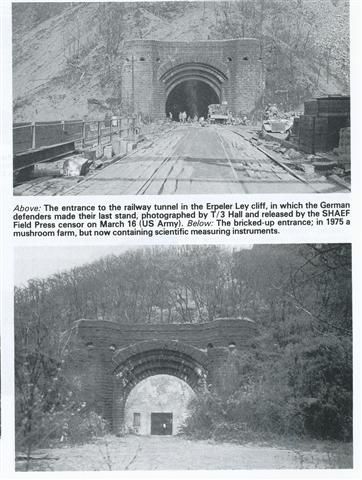 The tunnel was turned into a mushroom farm.