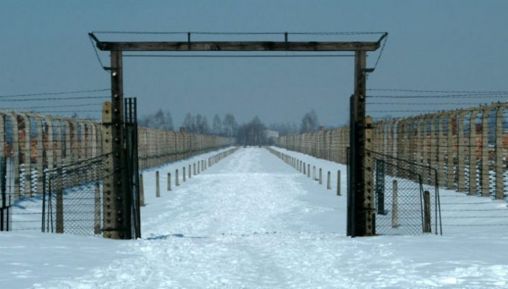 Gate in Auschwitz-Birkenau leading to crematoria IV and V. Photo: Gigatel Cyf. / CC-BY-SA 3.0