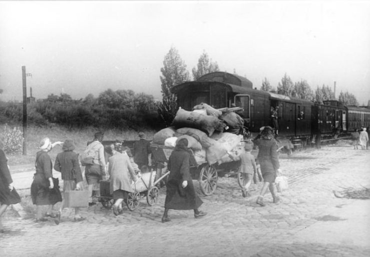 German expellees, 1946. Photo: Bundesarchiv, Bild 183-1983-0422-315 / Donath, Otto / CC-BY-SA 3.0.