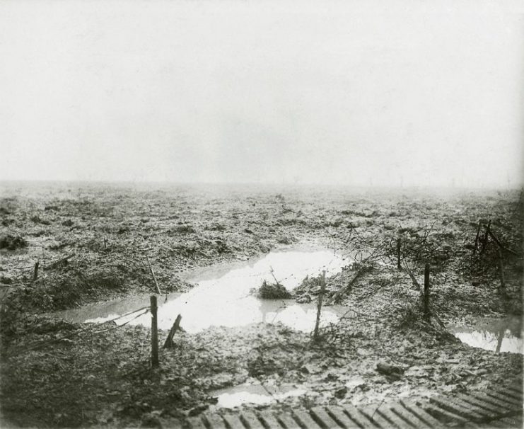 Terrain at Passchendaele, in late 1917