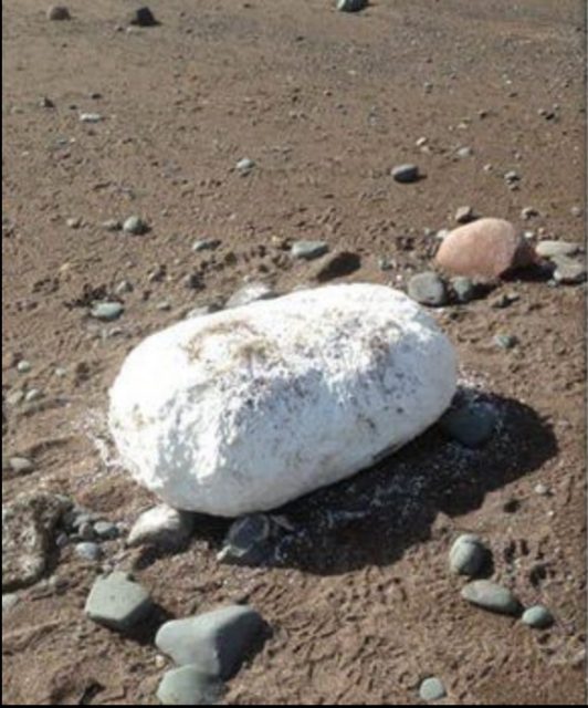 The lumps of lard are a brilliant white and seagulls love feeding off it.