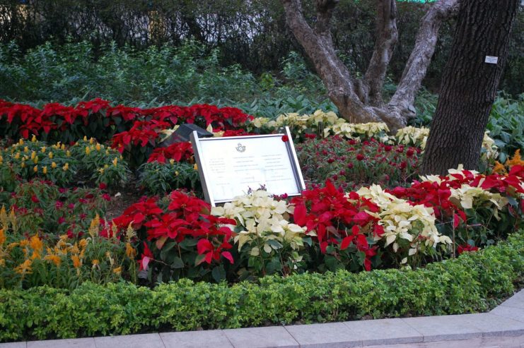 Plaque in the middle of a park, surrounded by plants